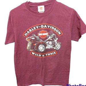 Harley-Davidson Men's Shirt